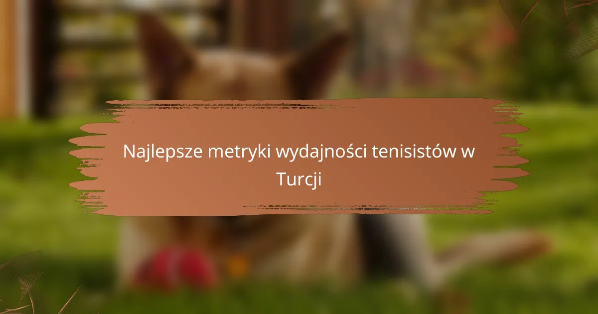 Najlepsze metryki wydajności tenisistów w Turcji